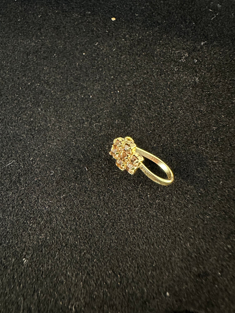 PA22 Gold colour nose ring (Slide on)