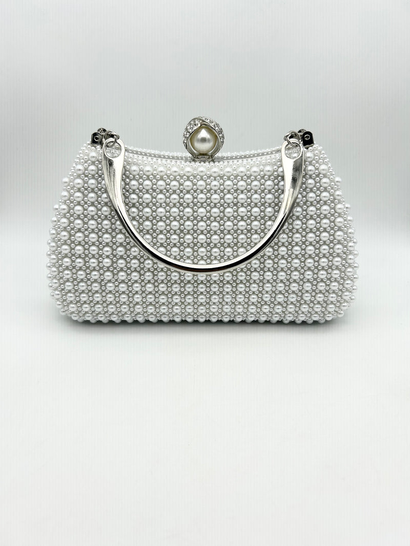 AM706 Silver Clutch bag